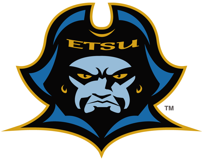 ETSU Buccaneers 2007-2013 Primary Logo iron on transfers for clothing